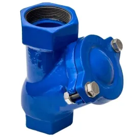 2" PN16 zpětný ventil s...